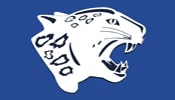 логотип охранной компании Барс в Харькове